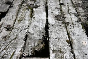 Why Are My Deck Boards Rotting, North Shore Deck Builders
